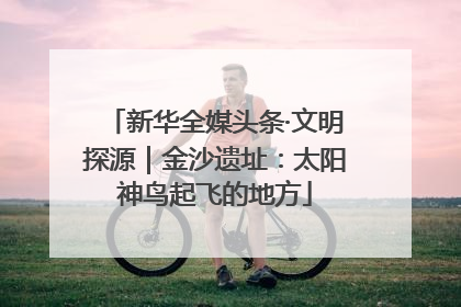 新华全媒头条·文明探源｜金沙遗址：太阳神鸟起飞的地方