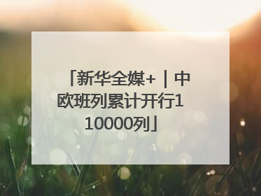 新华全媒+｜中欧班列累计开行110000列