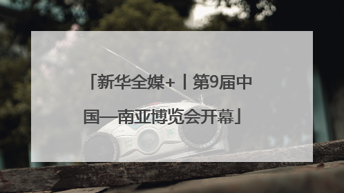 新华全媒+丨第9届中国—南亚博览会开幕