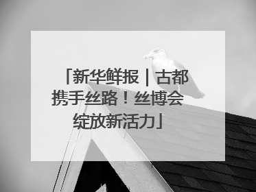 新华鲜报｜古都携手丝路！丝博会绽放新活力