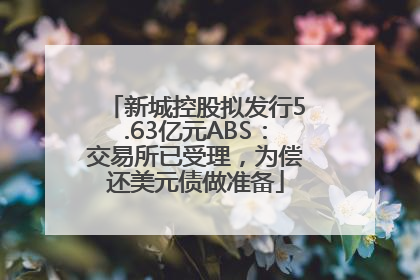 新城控股拟发行5.63亿元ABS：交易所已受理，为偿还美元债做准备