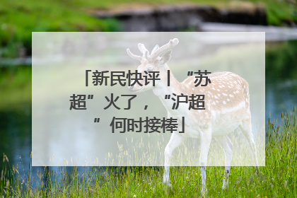 新民快评丨“苏超”火了，“沪超”何时接棒