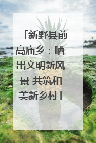 新野县前高庙乡：晒出文明新风景 共筑和美新乡村