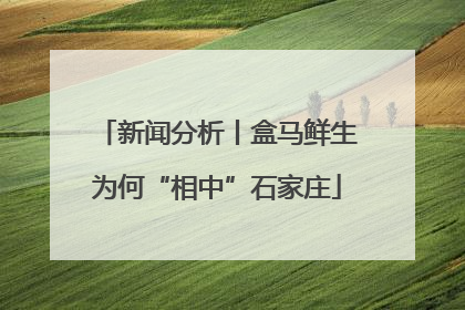新闻分析丨盒马鲜生为何“相中”石家庄