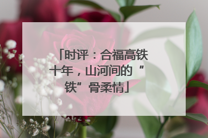 时评：合福高铁十年，山河间的“铁”骨柔情