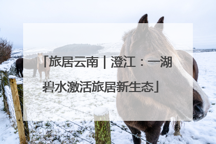 旅居云南｜澄江：一湖碧水激活旅居新生态