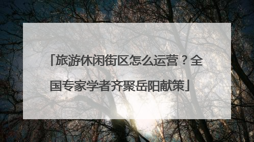 旅游休闲街区怎么运营？全国专家学者齐聚岳阳献策