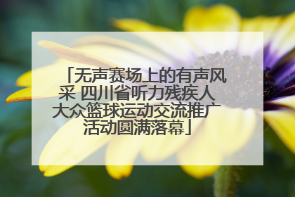 无声赛场上的有声风采 四川省听力残疾人大众篮球运动交流推广活动圆满落幕