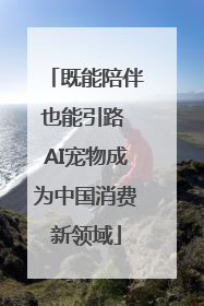 既能陪伴也能引路 AI宠物成为中国消费新领域