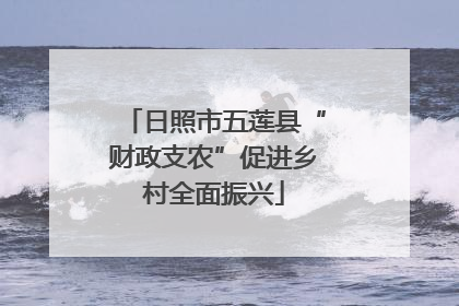 日照市五莲县“财政支农”促进乡村全面振兴