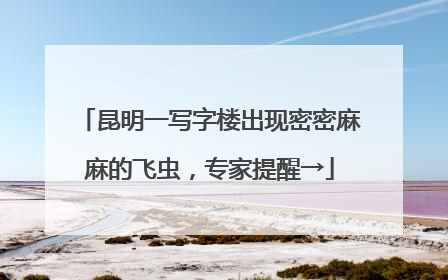 昆明一写字楼出现密密麻麻的飞虫，专家提醒→