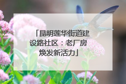 昆明莲华街道建设路社区：老厂房焕发新活力