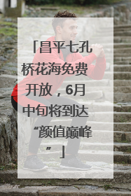 昌平七孔桥花海免费开放，6月中旬将到达“颜值巅峰”