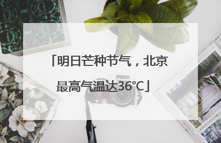 明日芒种节气，北京最高气温达36℃