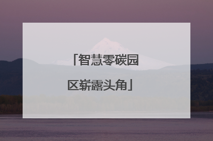 智慧零碳园区崭露头角