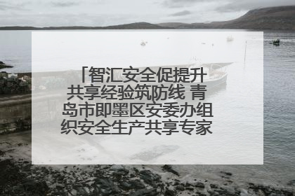 智汇安全促提升 共享经验筑防线 青岛市即墨区安委办组织安全生产共享专家现场观摩学习活动