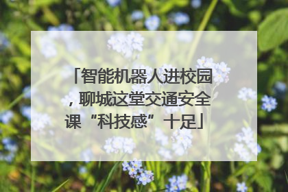 智能机器人进校园，聊城这堂交通安全课“科技感”十足