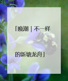 晚潮｜不一样的新塘龙舟