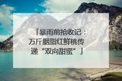 暴雨前抢收记：万斤胭脂红鲜桃传递“双向甜蜜”