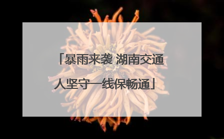 暴雨来袭 湖南交通人坚守一线保畅通