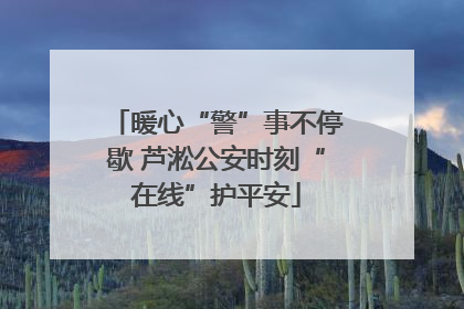 暖心“警”事不停歇 芦淞公安时刻“在线”护平安