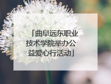 曲阜远东职业技术学院举办公益爱心行活动