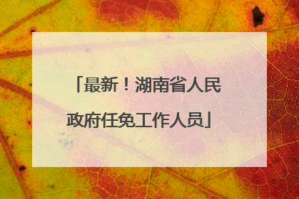 最新！湖南省人民政府任免工作人员