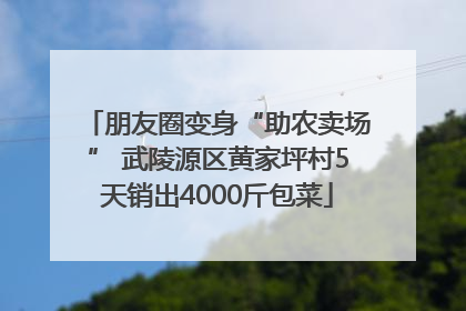朋友圈变身“助农卖场” 武陵源区黄家坪村5天销出4000斤包菜