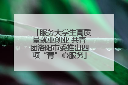 服务大学生高质量就业创业 共青团洛阳市委推出四项“青”心服务