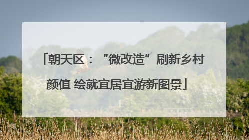 朝天区：“微改造”刷新乡村颜值 绘就宜居宜游新图景