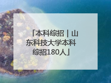 本科综招｜山东科技大学本科综招180人
