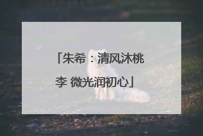 朱希：清风沐桃李 微光润初心