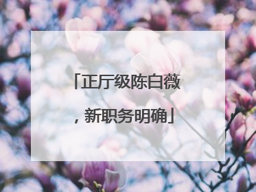 正厅级陈白薇，新职务明确