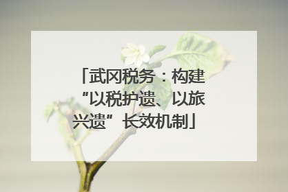 武冈税务：构建“以税护遗、以旅兴遗”长效机制