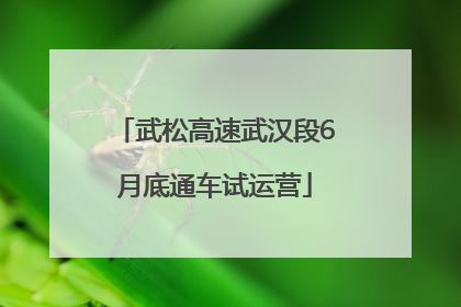 武松高速武汉段6月底通车试运营