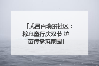 武昌百瑞景社区：粽意童行庆双节 护苗传承筑家园