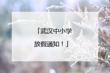 武汉中小学放假通知！