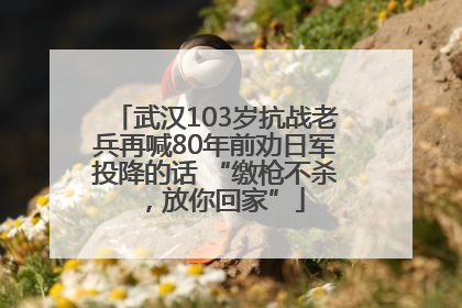 武汉103岁抗战老兵再喊80年前劝日军投降的话 “缴枪不杀，放你回家”