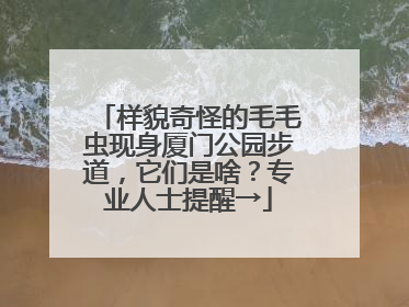 样貌奇怪的毛毛虫现身厦门公园步道，它们是啥？专业人士提醒→