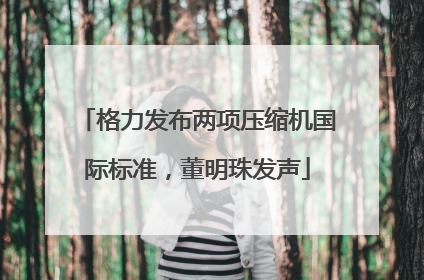 格力发布两项压缩机国际标准，董明珠发声