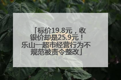 标价19.8元，收银价却是25.9元！乐山一超市经营行为不规范被责令整改