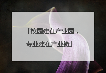校园建在产业园，专业建在产业链
