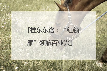 桂东东洛：“红领雁”领航百业兴