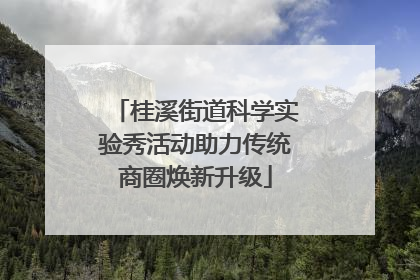 桂溪街道科学实验秀活动助力传统商圈焕新升级