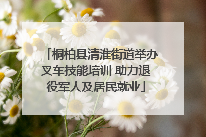 桐柏县清淮街道举办叉车技能培训 助力退役军人及居民就业
