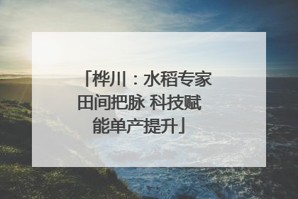 桦川：水稻专家田间把脉 科技赋能单产提升