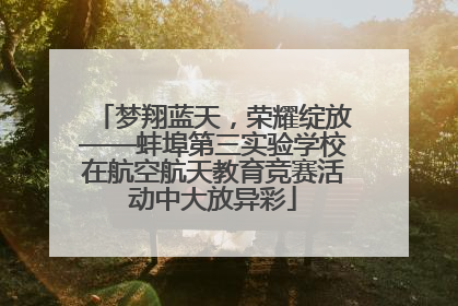 梦翔蓝天，荣耀绽放——蚌埠第三实验学校在航空航天教育竞赛活动中大放异彩