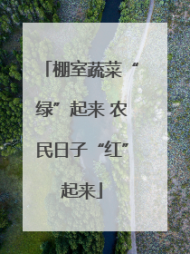 棚室蔬菜“绿”起来 农民日子“红”起来