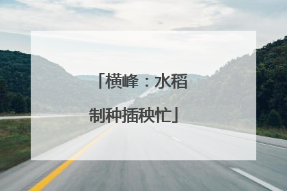 横峰：水稻制种插秧忙