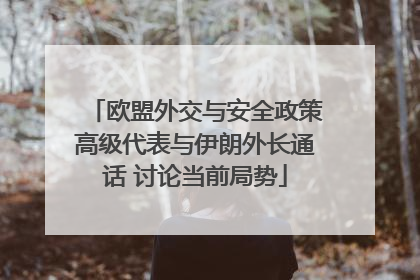 欧盟外交与安全政策高级代表与伊朗外长通话 讨论当前局势
